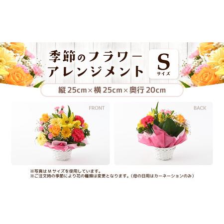 ふるさと納税 選べるカラー 季節のフラワーアレンジメント S (カラフル