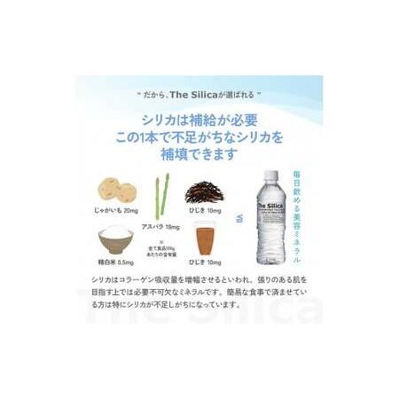 ふるさと納税 【定期便6回コース】The Silica 軟水シリカウォーター 500ml×24本×6回（総合計144本） 鳥取県米子市_3