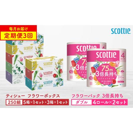 ふるさと納税 [定期便3回][毎月お届け][スコッティ] 組み合わせ ティシュー フラワーボックス 250組 8箱 計24箱 トイレットロール ダブル .. 熊本県八代市