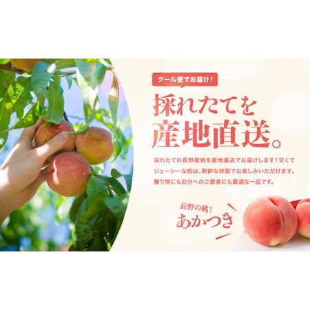 ふるさと納税 長野県産 桃 あかつき 秀品 約3kg〈2026年7月中旬〜8月中旬発送〉| 長野県 飯田市 長野県飯田市の画像