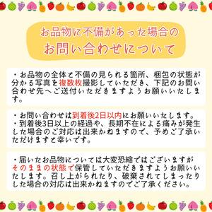 ふるさと納税 長野県産 桃 あかつき 秀品 約3kg〈2026年7月中旬〜8月中旬発送〉| 長野県 飯田市 長野県飯田市の画像