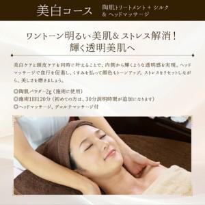 ふるさと納税 ニキビ肌コース（陶肌トリートメント＋ビタミンC?VCF?とヘッドマッサージ） 350P8403 秋田県大館市の画像