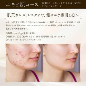 ふるさと納税 保湿コース（陶肌トリートメント＋パワーローズスター）とヘッドマッサージ 350P8404 秋田県大館市の画像