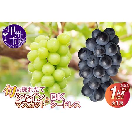 ふるさと納税 [クール配送]お試しセット!旬の採れたてシャインマスカット&BKシードレス 1kg以上(各1房)[2026年発送](HO)B-1411 シャイ.. 山梨県甲州市