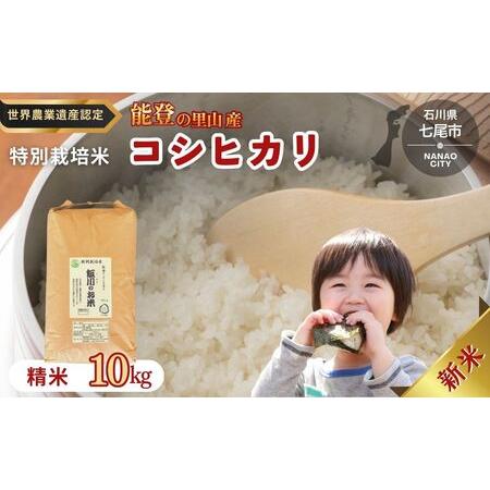 ふるさと納税 米 /能登のコシヒカリ 飯川のお米 10kg(精米10kg×1袋)特別栽培米 ※2026年10月〜発送 石川県 七尾市 石川県七尾市