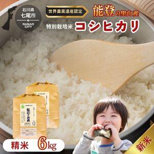 ふるさと納税 [能登半島地震復興支援]米 /能登のコシヒカリ 飯川のお米 6kg(精米3kg×2袋)特別栽培米 石川県 七尾市 能登 ※2026年10.. 石川県七尾市