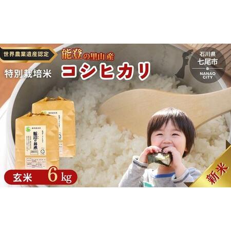 ふるさと納税 米 玄米 /能登のコシヒカリ 飯川のお米 6kg(玄米3kg×2袋)特別栽培米 ※2026年10月〜発送 石川県 七尾市 石川県七尾市
