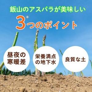 ふるさと納税 【2026年発送 先行予約】飯山産新鮮アスパラ Lサイズ10束(1束3?6本)1kg《出荷時期：2026年5月上旬?》（At-026) 長野県飯山市_2