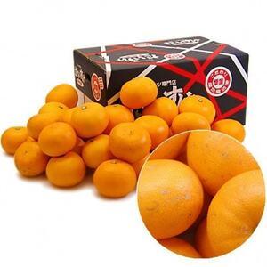 ふるさと納税 愛媛県八幡浜産・せとか 5kg[訳あり][E35-30][1609728] 愛媛県八幡浜市