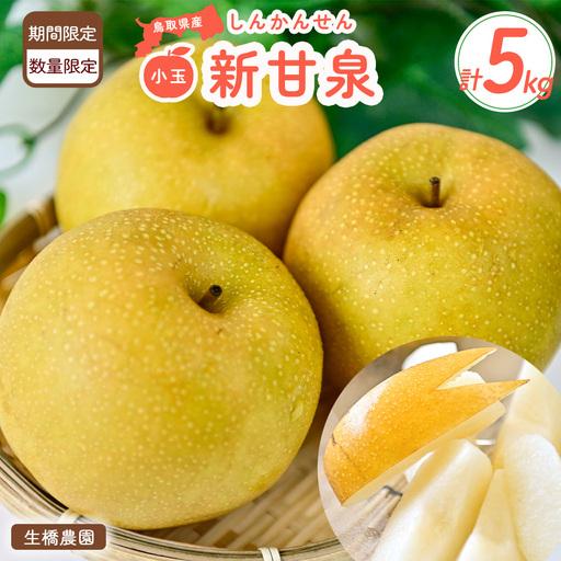 ふるさと納税 梨 新甘泉(小玉)5kg 生橋農園 青秀 梨 鳥取県産 鳥取県倉吉市