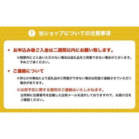 ふるさと納税 フジチクふじ馬刺しユッケ 2100g 熊本県宇城市
