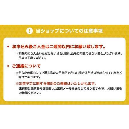 ふるさと納税 【1ヶ月毎6回定期便】九州産菊芋茶 30包3袋 熊本県宇城市