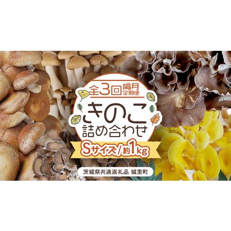 ふるさと納税 [ 全3回 隔月定期便 ] きのこ の 詰め合わせ Sサイズ 約1kg (茨城県共通返礼品 城里町) [CX008sa] 茨城県桜川市