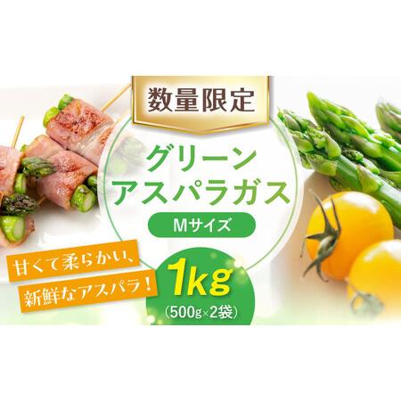 ふるさと納税 アスパラガス 1kg | アスパラ AJAH016 北海道喜茂別町