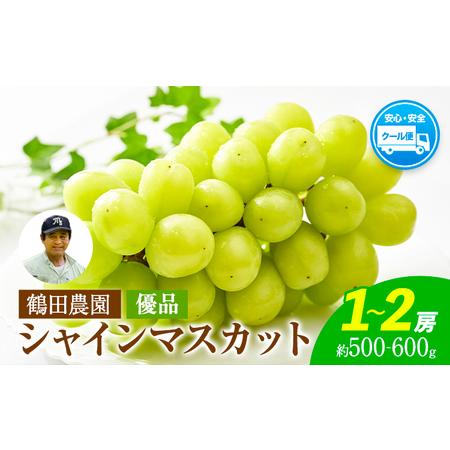 ふるさと納税 [優品]先行予約 シャインマスカット 鶴田農園 約500~600g (1〜2房) 熊本県荒尾市産[8月下旬-9月下旬頃出荷]熊本県 荒尾市 フル.. 熊本県荒尾市