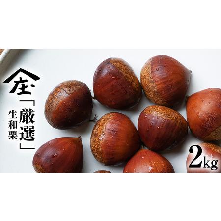 ふるさと納税 厳選 生和栗 2kg [庄七農園][2026年10月発送開始] 茨城県つくばみらい市