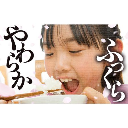 ふるさと納税 米 福岡県産米 夢つくし 10kg【スピード発送】CY009 福岡県大木町_3