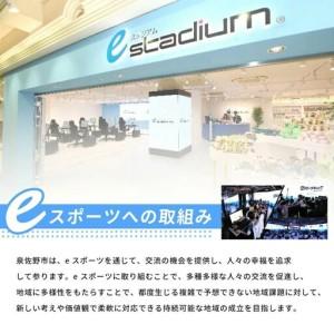 ふるさと納税 ボックスティッシュ 60箱 ティッシュペーパー 大阪府泉佐野市_4
