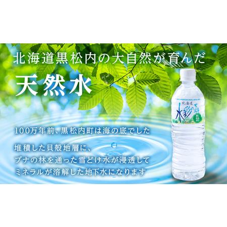 ふるさと納税 【定期便4カ月】黒松内銘水 水彩の森 500ml×24本（1箱） 北海道黒松内町の画像