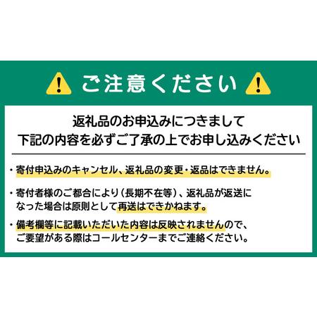 ふるさと納税 【定期便8カ月】黒松内銘水 水彩の森 500ml×48本（2箱） 北海道黒松内町の画像