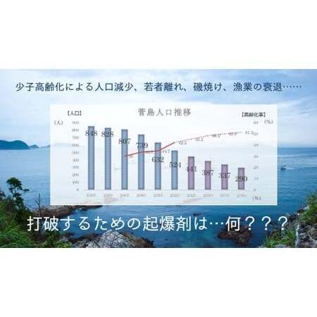 ふるさと納税 100-53超保湿スキンケア「さがらめパック（肌嬉フェイスマスクSR）60枚入」 超保湿でしっとりツヤ肌へ 三重県鳥羽市の画像