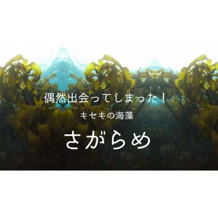 ふるさと納税 100-53超保湿スキンケア「さがらめパック（肌嬉フェイスマスクSR）60枚入」 超保湿でしっとりツヤ肌へ 三重県鳥羽市の画像