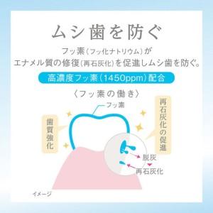ふるさと納税 ライオン Lightee ハミガキ ホワイトシトラスミント 100g×6本 兵庫県明石市_4