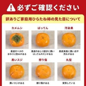 ふるさと納税 ［2026年10月上旬以降発送］◆先行予約◆ 和歌山県産 平核無柿＜ご家庭用＞約7.5kg 満杯詰め  柿 種無し たねなし ひらたね 訳.. 和歌山県上富田町_2
