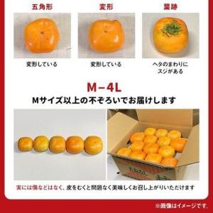 ふるさと納税 ［2026年10月上旬以降発送］◆先行予約◆ 和歌山県産 平核無柿＜ご家庭用＞約7.5kg 満杯詰め  柿 種無し たねなし ひらたね 訳.. 和歌山県上富田町_3
