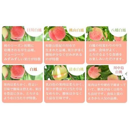 https://item-shopping.c.yimg.jp/i/n/furunavi_1538755_1_d_20260104203558