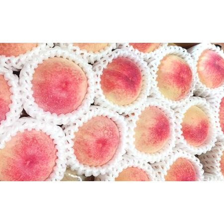 桃 お酒 セット 岡山の白桃 3玉 計670g以上 桃のお酒ラ・ペーシュ清水白桃 500ml 1本セット 果物 【フローズンフルーツイエローピーチ】 リキュール 岡山県赤磐市