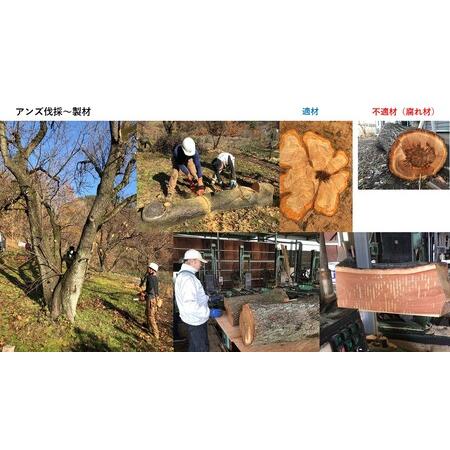 ふるさと納税 SUMIあんずギター(CONCERT)|ギター 長野県千曲市の画像