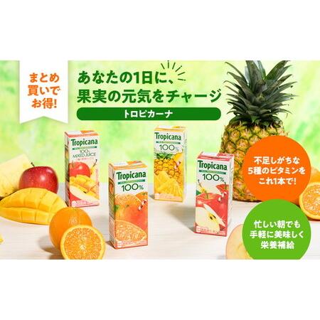 ふるさと納税 【定期便4ヶ月】トロピカーナ 100％ オレンジ 250ml LLスリム×24本 ※離島への配送不可 茨城県常総市