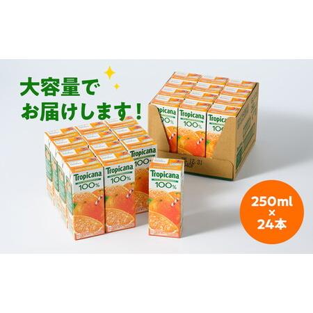 ふるさと納税 【定期便4ヶ月】トロピカーナ 100％ オレンジ 250ml LLスリム×24本 ※離島への配送不可 茨城県常総市