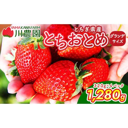 ふるさと納税 [訳あり]とちおとめ 320g×4パック 約1.2kg グランデサイズ|果物 フルーツ イチゴ 苺 グランデ 産地直送 大粒 甘い 数量限.. 栃木県壬生町