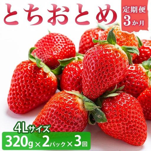 ふるさと納税 [いちご3か月定期便]栃木県産とちおとめ 320g×2パック 4Lサイズ 3回 |※2027年1月〜発送 栃木県壬生町