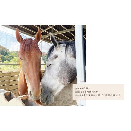 ふるさと納税 雑貨 張子の馬 グラマー グレー バージョン 岡山県瀬戸内市_3