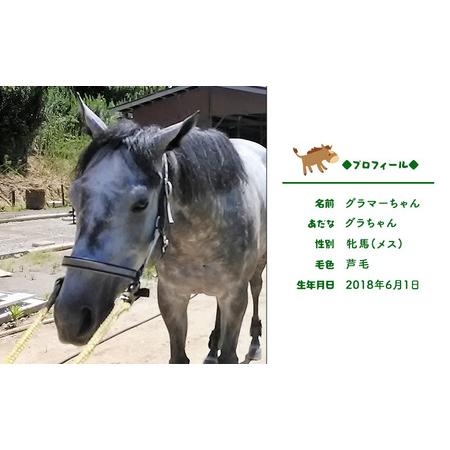 ふるさと納税 雑貨 張子の馬 グラマー グレー バージョン 岡山県瀬戸内市_4