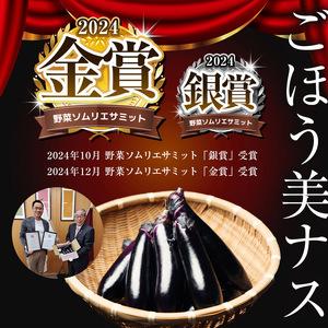 ふるさと納税 【定期便3回】野菜ソムリエサミット金賞「ごほう美ナス」 約1kg 栃木県真岡市_1