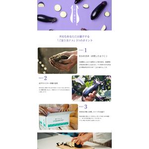 ふるさと納税 【定期便3回】野菜ソムリエサミット金賞「ごほう美ナス」 約1kg 栃木県真岡市_2