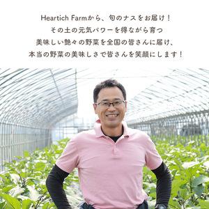ふるさと納税 【定期便3回】野菜ソムリエサミット金賞「ごほう美ナス」 約1kg 栃木県真岡市_3