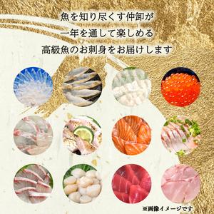 ふるさと納税 定期便 4回 唐戸市場直送 お刺身 各2人前 冷凍 刺身 刺身 刺身 EY031 山口県下関市の画像