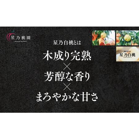 ふるさと納税 先行受付【星乃白桃】岡山県の桃園からお届けする三つ星の桃 1.2kg (4〜5玉)【配送不可地域：離島・北海道・沖縄県】【1614276】 岡山県津山市の画像