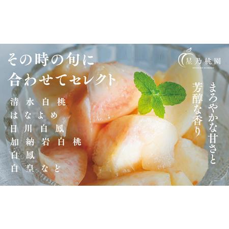 ふるさと納税 先行受付【星乃白桃】岡山県の桃園からお届けする三つ星の桃 1.2kg (4〜5玉)【配送不可地域：離島・北海道・沖縄県】【1614276】 岡山県津山市の画像