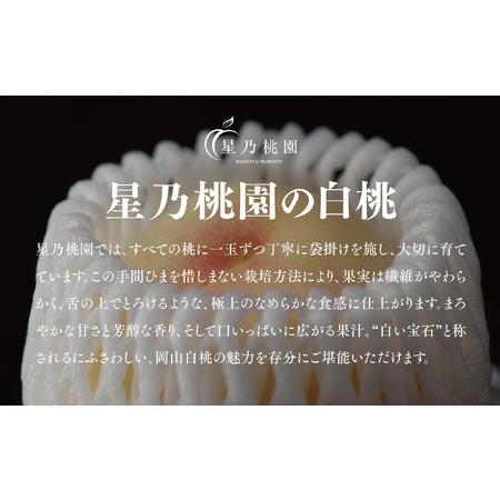 ふるさと納税 先行受付【星乃白桃】岡山県の桃園からお届けする三つ星の桃 1.2kg (4〜5玉)【配送不可地域：離島・北海道・沖縄県】【1614276】 岡山県津山市の画像