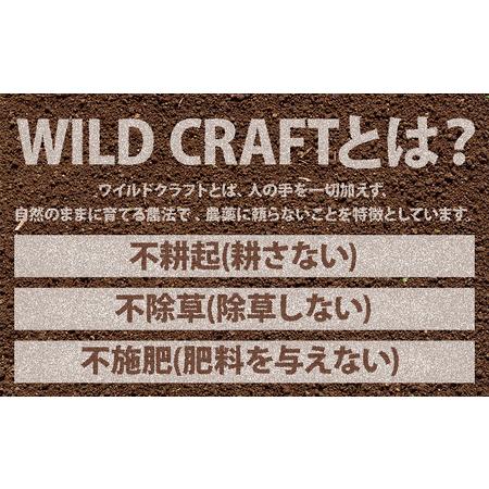 ふるさと納税 ワイルド クラフト 100% オイル1本 10mg 千葉県流山市の画像