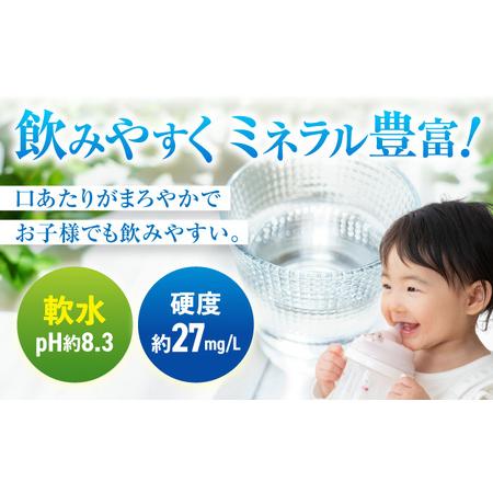 ふるさと納税 【全5回定期便】 日田天領水 500ml×24本 天然水 備蓄 防災 ミネラルウォーター シリカ[AREG043] 大分県日田市の画像
