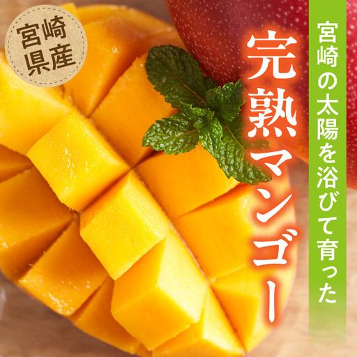 ふるさと納税 マンゴー 完熟 マンゴー[訳あり 宮崎 1.2kg 3~4玉] 宮崎