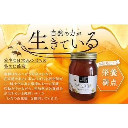 ふるさと納税 ひだの百花蜜 600g×1本 | 国産 非加熱 日本ミツバチ ハニー ハチミツ はちみつ 蜂蜜 飛騨高山 飛騨日本みつばちの会 PN004 岐阜県高山市の画像