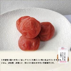 ふるさと納税 ちょうどいい梅干セット 【味わいセット】各90ｇ×6種 （約4〜5粒入） iwasho017A【iwasho017A】 和歌山県みなべ町_4